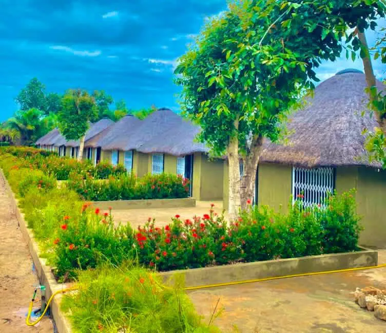 Thatched rondavel chalets bordered by a rose garden